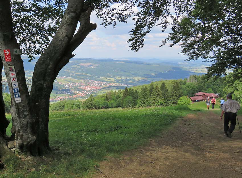 Rhoenklub-Zweigverein-Rother-Kuppe_Website-Aktuelles-Mittwochswanderung10