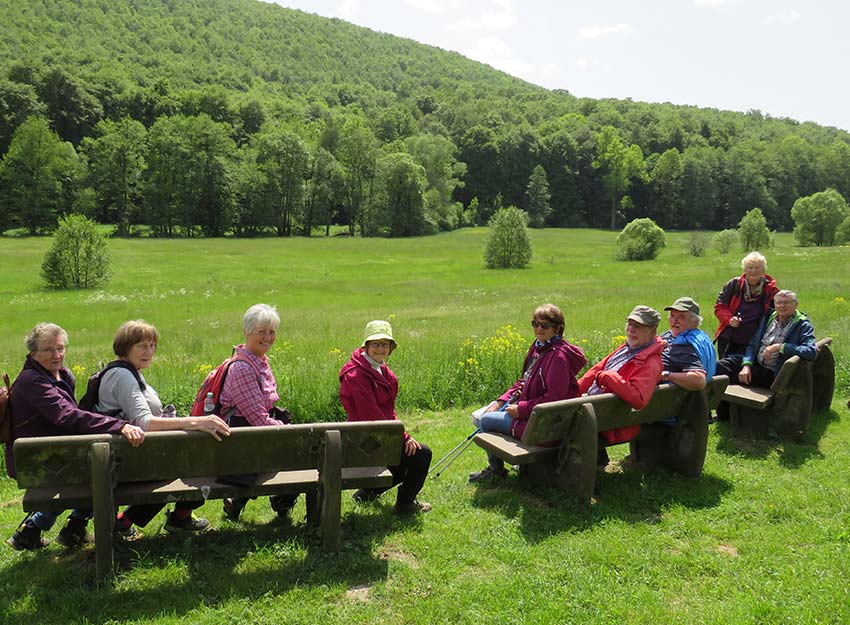 Rhoenklub-Zweigverein-Rother-Kuppe_Website-Aktuelles-Mittwochswanderung12