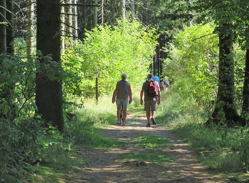 Rhoenklub-Zweigverein-Rother-Kuppe_Website-Aktuelles-Mittwochswanderung15