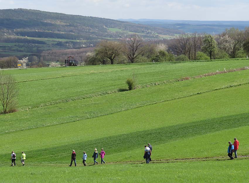 Rhoenklub-Zweigverein-Rother-Kuppe_Website-Aktuelles-Mittwochswanderung4