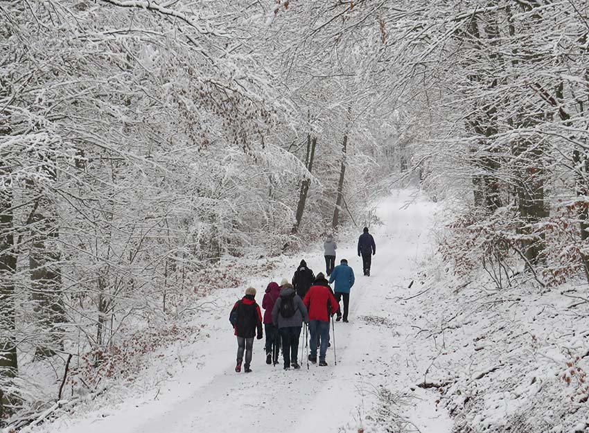 Rhoenklub-Zweigverein-Rother-Kuppe_Website-Aktuelles-Mittwochswanderung7